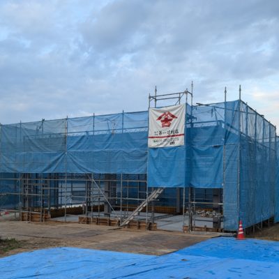 PXL_20240804_085304887